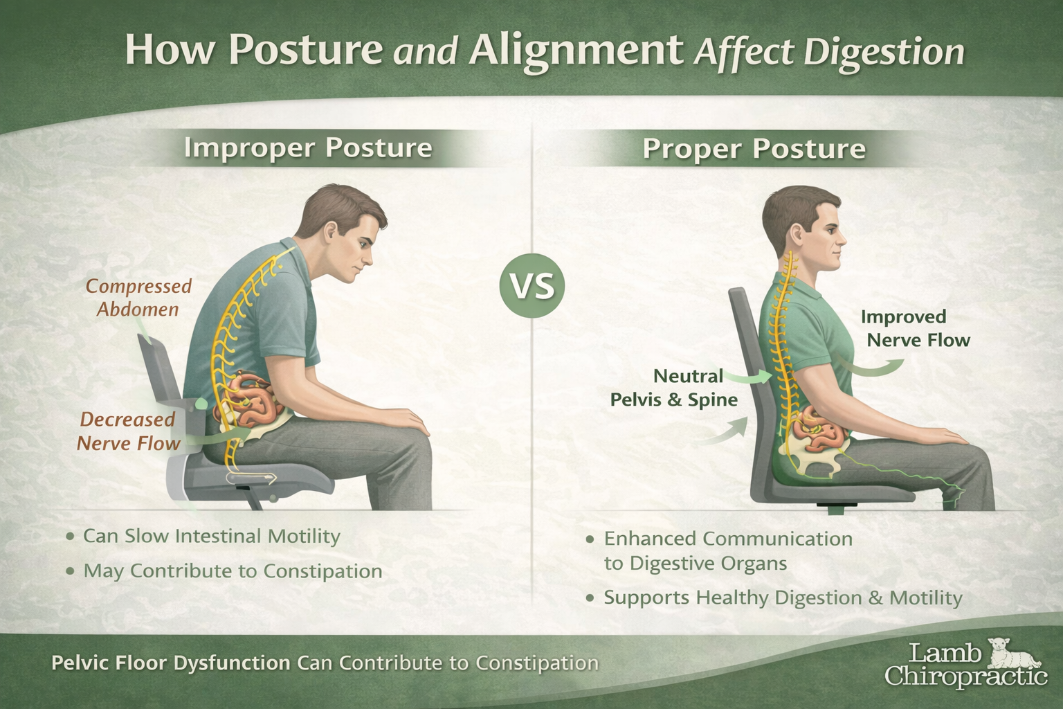 Infographic showing poor vs good posture and how it can affect digestion